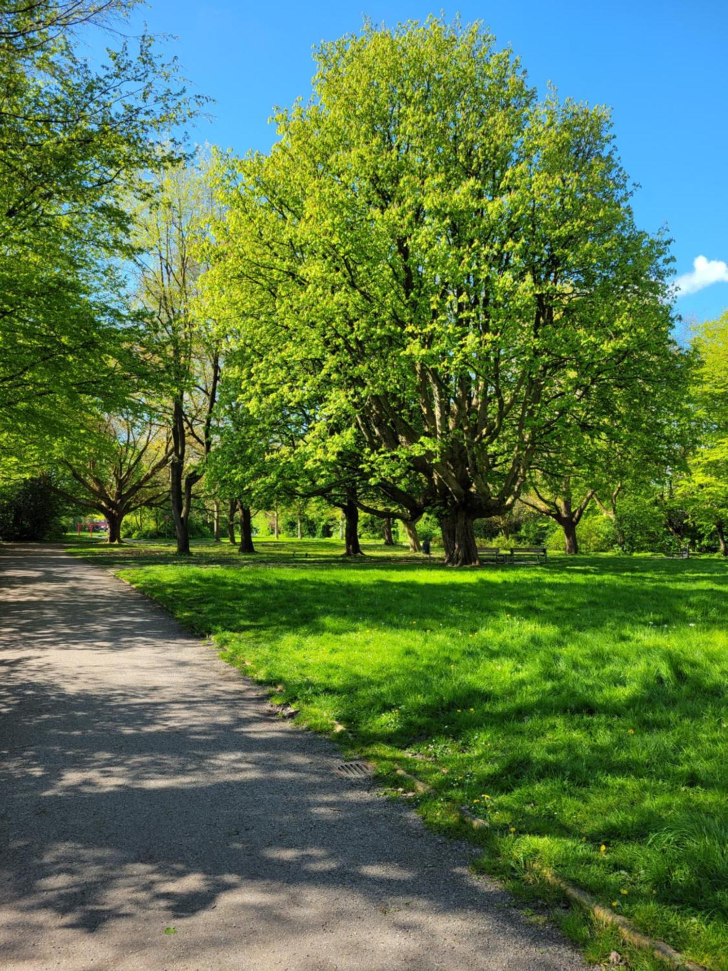 Ferienwohnungen Am Park Wilhelmshaven Kültér fotó