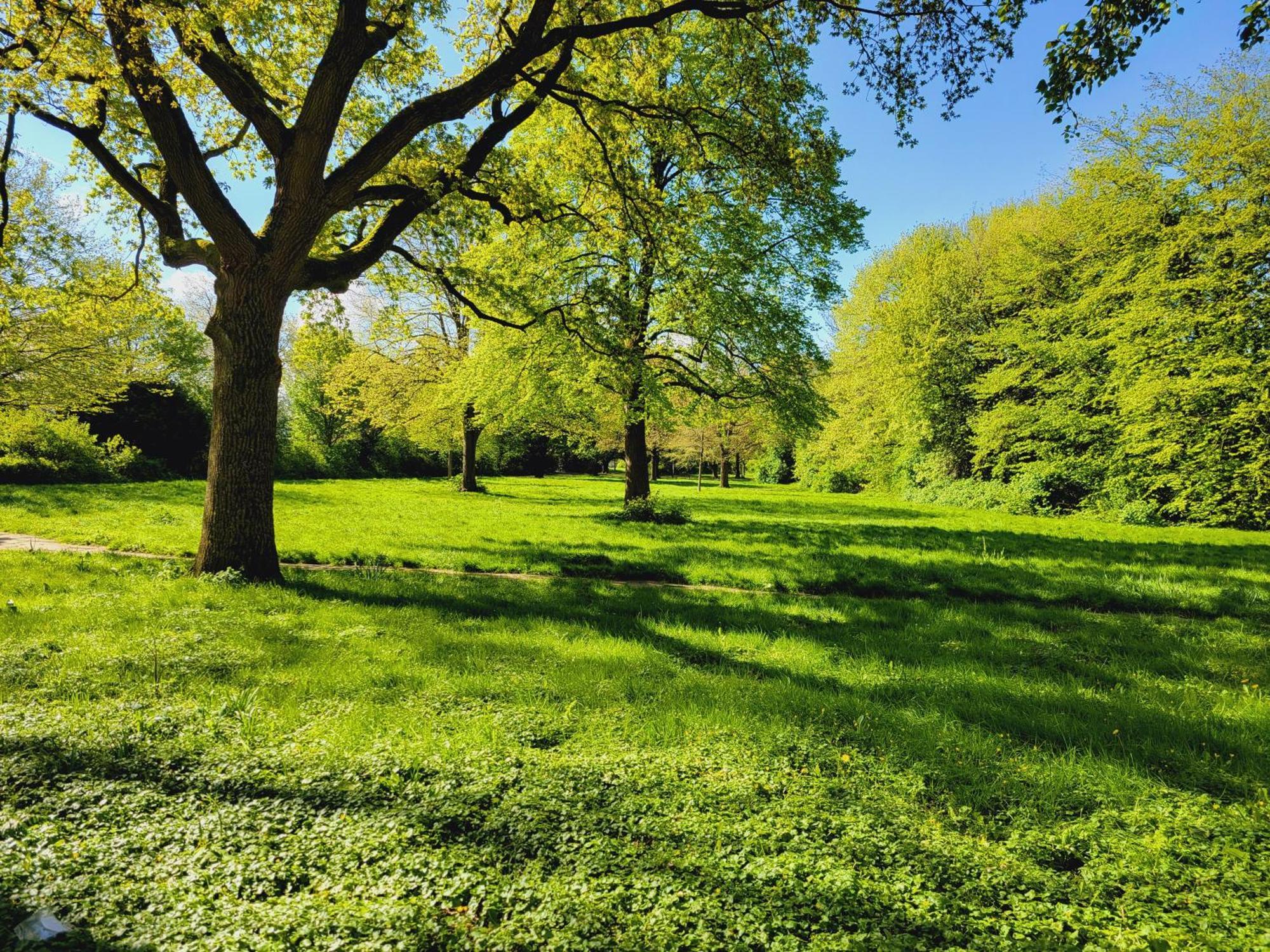 Ferienwohnungen Am Park Wilhelmshaven Kültér fotó